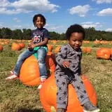 Porter Farms & Nursery photo