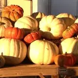 Porter Farms & Nursery photo