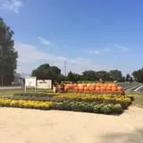 Porter Farms & Nursery photo