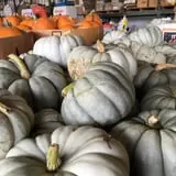 Porter Farms & Nursery photo