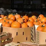 Porter Farms & Nursery photo