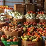 Porter Farms & Nursery photo