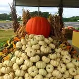 Porter Farms & Nursery photo