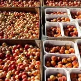 Riley's Farm Fresh photo