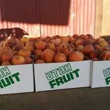 Riley's Farm Fresh photo