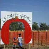 Devine Acres Farm Fall CountryFest photo