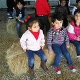 Devine Acres Farm Fall CountryFest photo