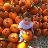 Devine Acres Farm Fall CountryFest photo