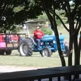 Devine Acres Farm Fall CountryFest photo