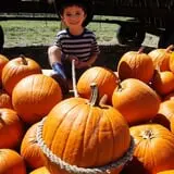 Devine Acres Farm Fall CountryFest photo