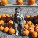 Devine Acres Farm Fall CountryFest photo