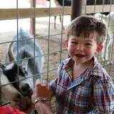Devine Acres Farm Fall CountryFest photo