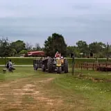 Devine Acres Farm Fall CountryFest photo