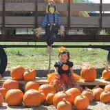 Devine Acres Farm Fall CountryFest photo