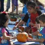Devine Acres Farm Fall CountryFest photo