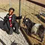Devine Acres Farm Fall CountryFest photo