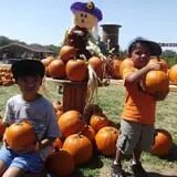 Devine Acres Farm Fall CountryFest photo