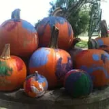 Devine Acres Farm Fall CountryFest photo