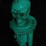 Night Terrors Haunted Woods Walk photo