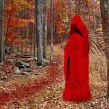 Night Terrors Haunted Woods Walk photo