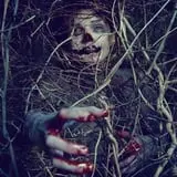 Night Terrors Haunted Woods Walk photo