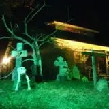 Night Terrors Haunted Woods Walk