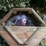 Night Terrors Haunted Woods Walk photo