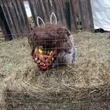 Night Terrors Haunted Woods Walk photo
