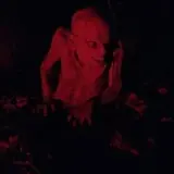 Night Terrors Haunted Woods Walk photo