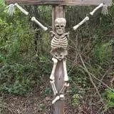 Night Terrors Haunted Woods Walk photo