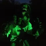 Night Terrors Haunted Woods Walk photo
