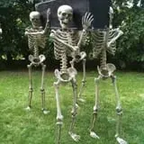 Night Terrors Haunted Woods Walk photo
