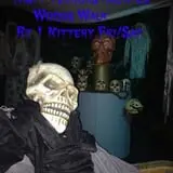 Night Terrors Haunted Woods Walk photo