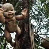 Night Terrors Haunted Woods Walk photo