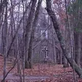 Night Terrors Haunted Woods Walk photo