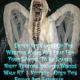 Night Terrors Haunted Woods Walk photo