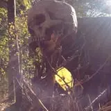 Night Terrors Haunted Woods Walk photo