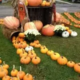 Rulfs Orchard photo