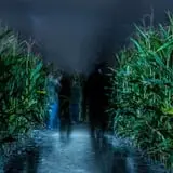 Rulfs Orchard photo