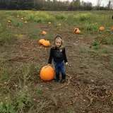 Rulfs Orchard photo