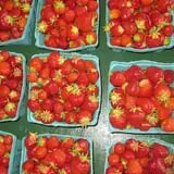 Rulfs Orchard photo