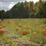 Rulfs Orchard photo