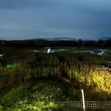 Rulfs Orchard photo