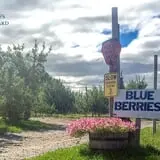 Rulfs Orchard photo