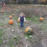 Rulfs Orchard photo