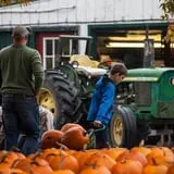 Rulfs Orchard photo
