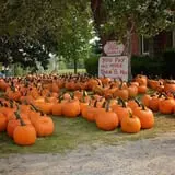 Rulfs Orchard photo