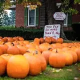 Rulfs Orchard photo