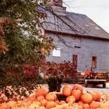 Rulfs Orchard photo