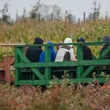 Rulfs Orchard photo